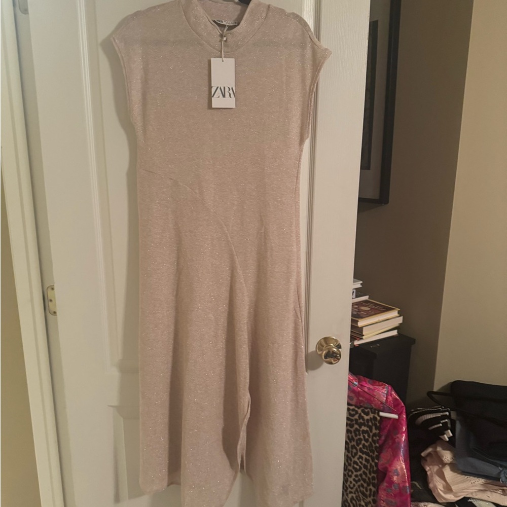 Zara Sparkling Beige Dress